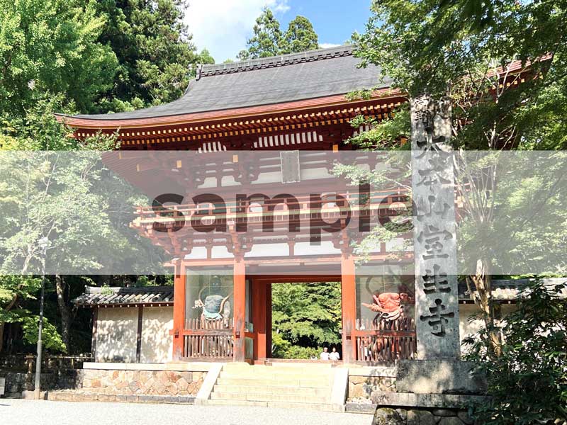 美の古典サロン